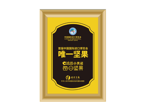 首届中国国际进口博览会唯一ag尊龙链接